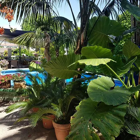 The Green House - Adults Only Apartment *
