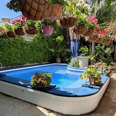 The Green House - Adults Only