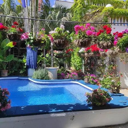 The Green House - Adults Only Apartment