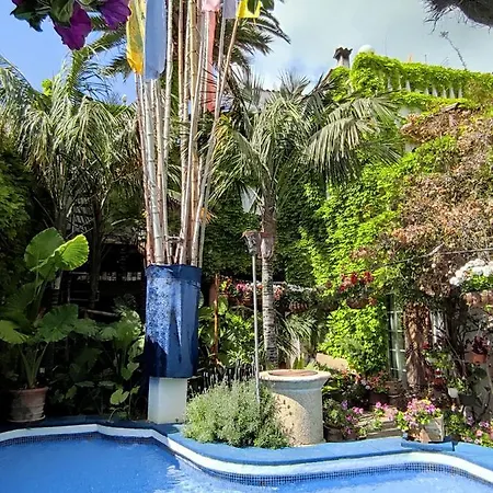 Apartment The Green House - Adults Only Palma de Mallorca