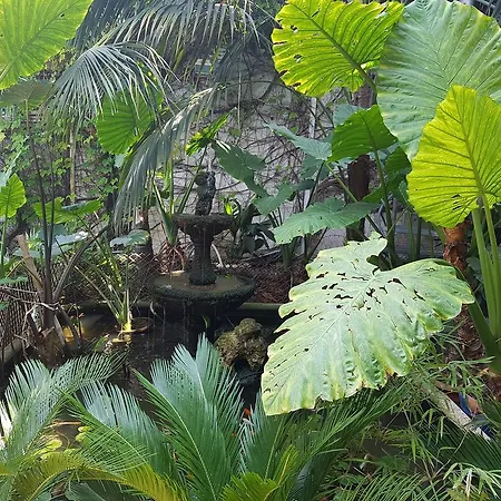 The Green House - Adults Only *