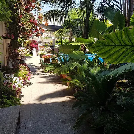The Green House - Adults Only