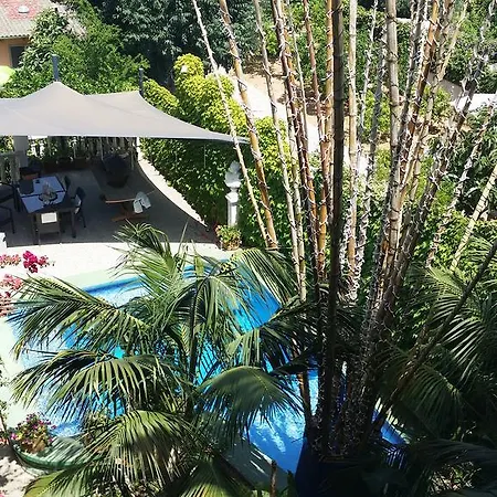 The Green House - Adults Only Palma de Mallorca