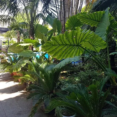 The Green House - Adults Only