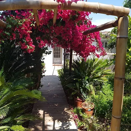 The Green House - Adults Only Apartment Palma de Mallorca
