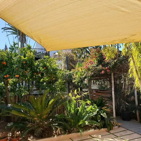 The Green House - Adults Only