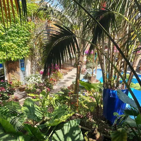 The Green House - Adults Only *