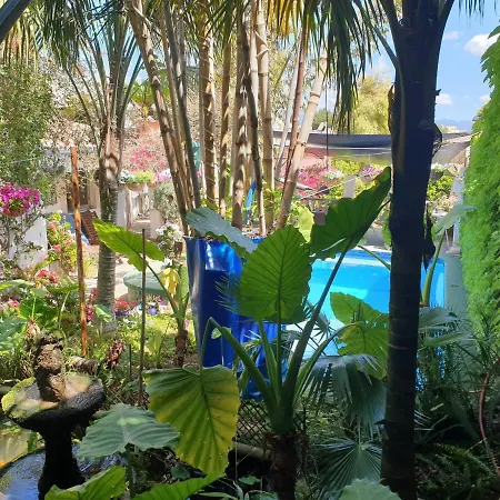 The Green House - Adults Only Palma de Mallorca